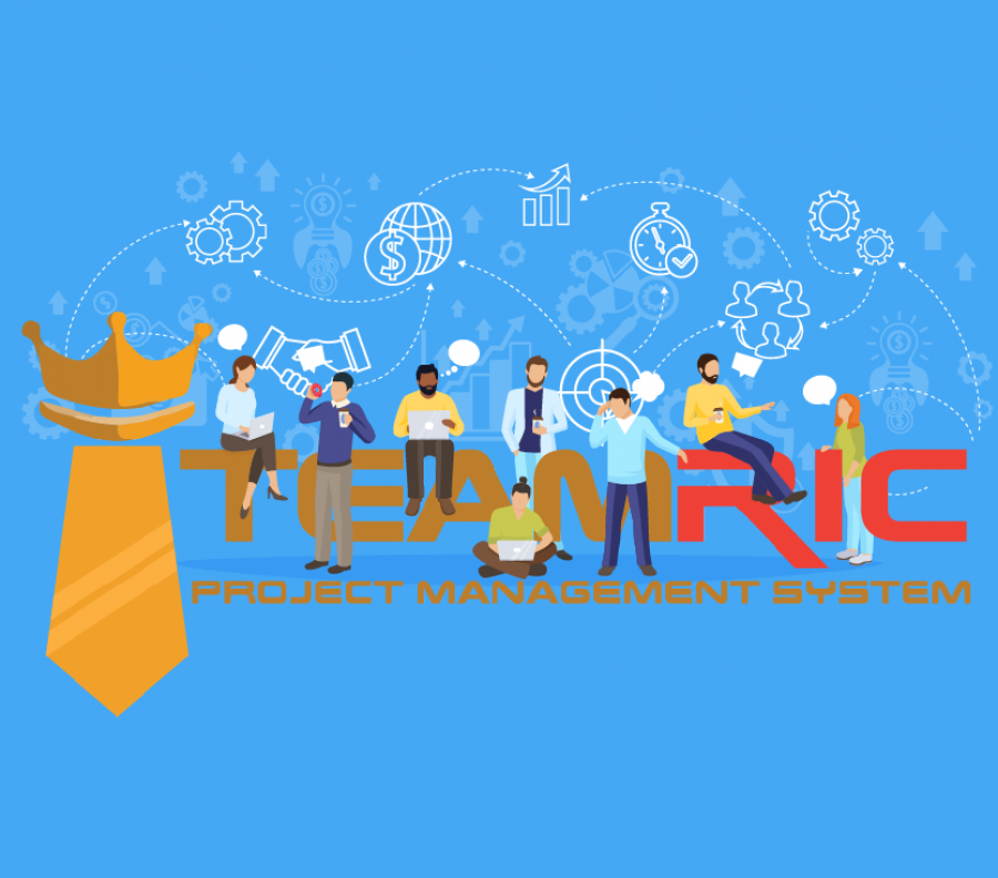 TeamRic Project Management System